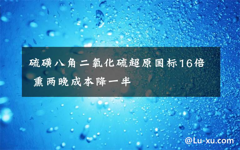 硫磺八角二氧化硫超原國(guó)標(biāo)16倍 熏兩晚成本降一半