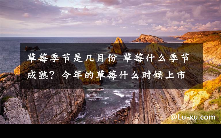 草莓季節(jié)是幾月份 草莓什么季節(jié)成熟？今年的草莓什么時候上市？