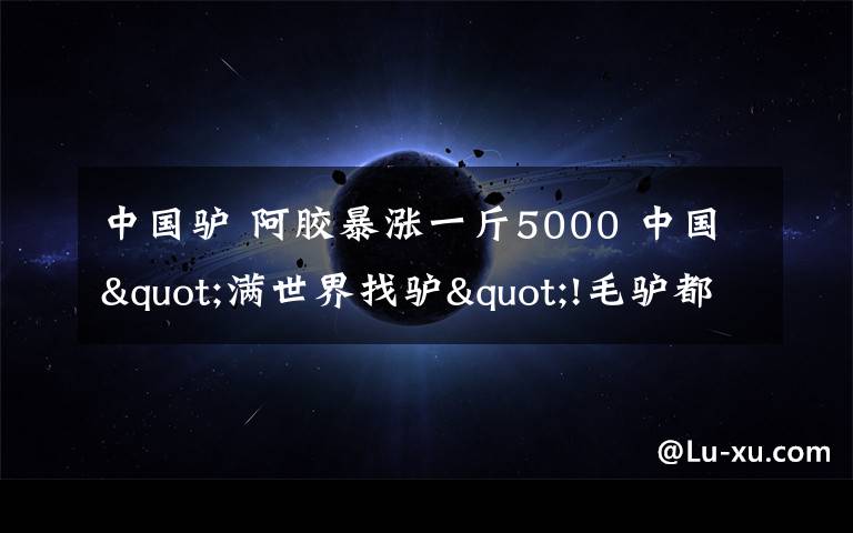 中國驢 阿膠暴漲一斤5000 中國"滿世界找驢"!毛驢都去哪兒了?