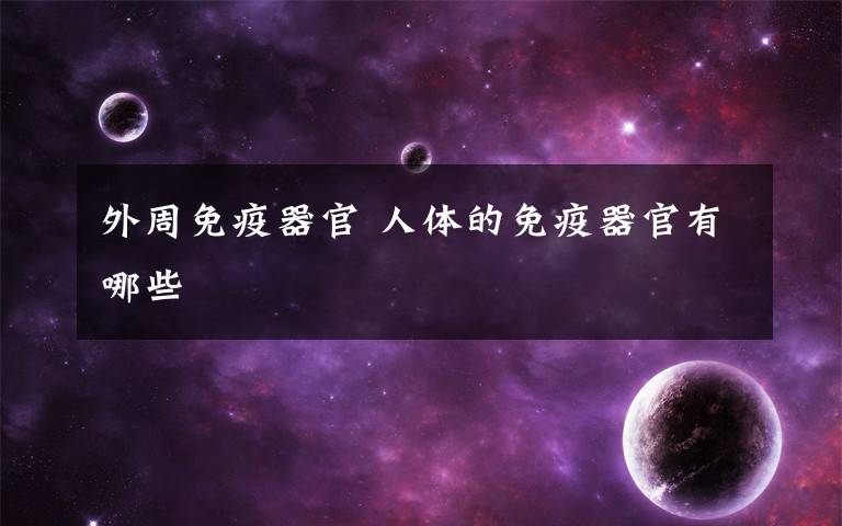 外周免疫器官 人體的免疫器官有哪些