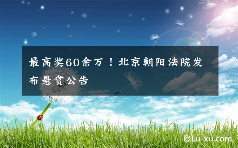 最高獎(jiǎng)60余萬！北京朝陽法院發(fā)布懸賞公告