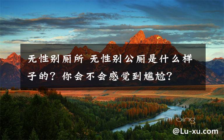 無性別廁所 無性別公廁是什么樣子的？你會不會感覺到尷尬？