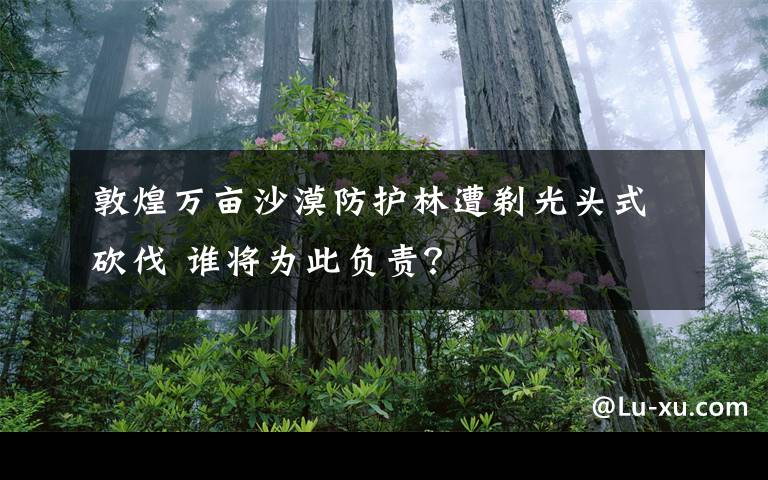 敦煌萬畝沙漠防護(hù)林遭剃光頭式砍伐 誰將為此負(fù)責(zé)？