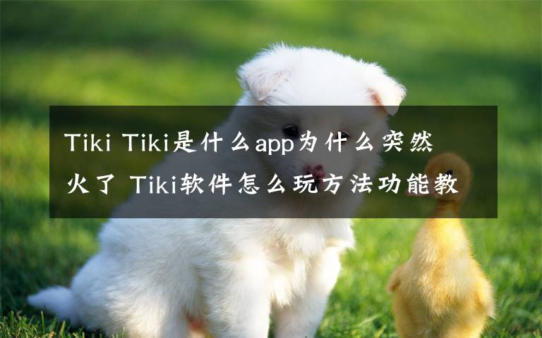 Tiki Tiki是什么app為什么突然火了 Tiki軟件怎么玩方法功能教程