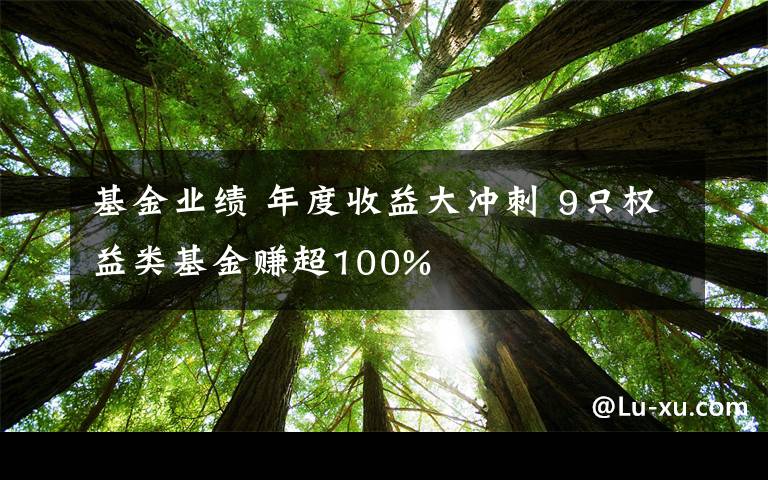 基金業(yè)績 年度收益大沖刺 9只權(quán)益類基金賺超100%