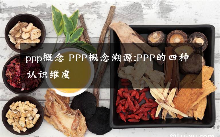 ppp概念 PPP概念溯源:PPP的四種認識維度