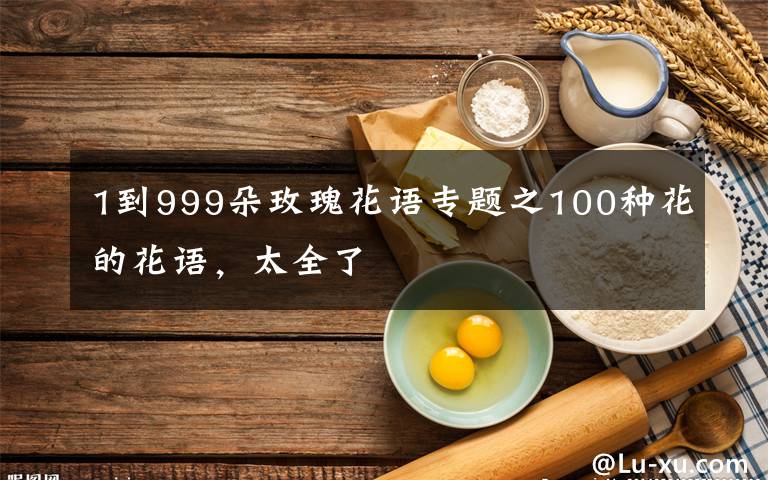 1到999朵玫瑰花語(yǔ)專題之100種花的花語(yǔ)，太全了