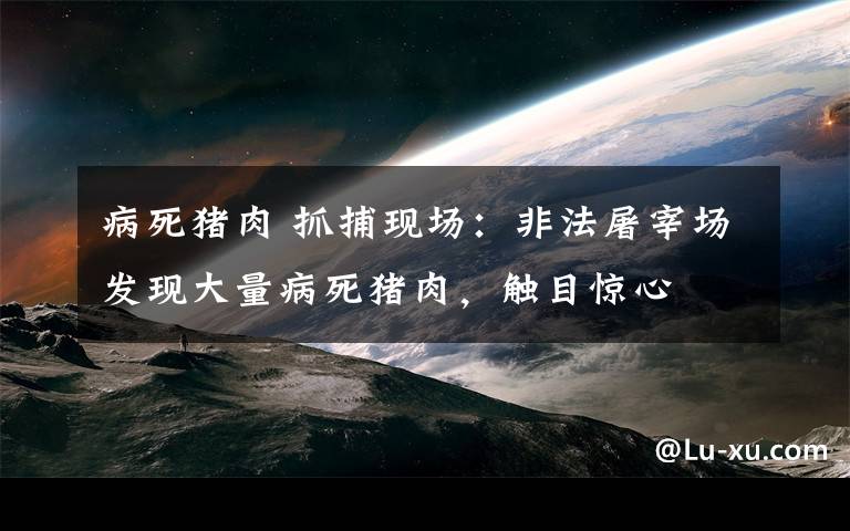 病死豬肉 抓捕現(xiàn)場：非法屠宰場發(fā)現(xiàn)大量病死豬肉，觸目驚心