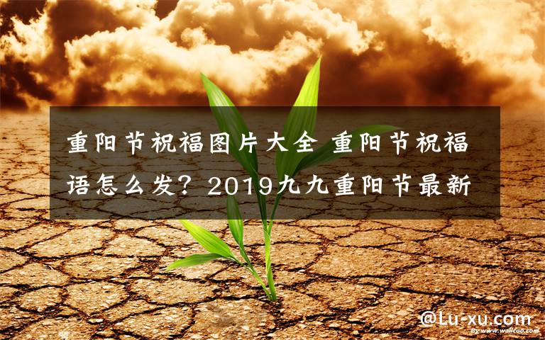 重陽節(jié)祝福圖片大全 重陽節(jié)祝福語怎么發(fā)？2019九九重陽節(jié)最新最全經(jīng)典祝福語微信朋友圈大全