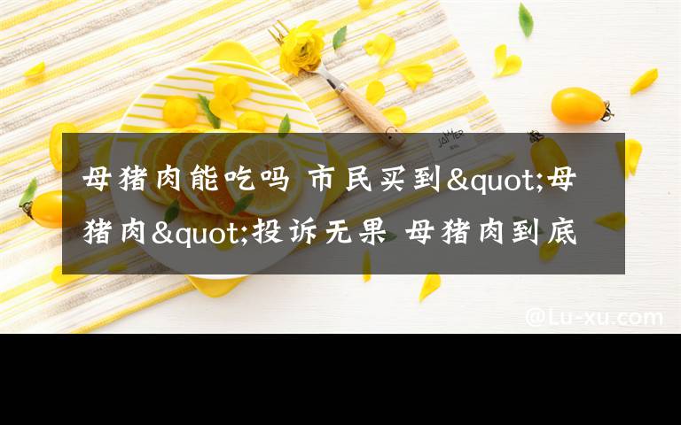 母豬肉能吃嗎 市民買到"母豬肉"投訴無果 母豬肉到底能不能賣？