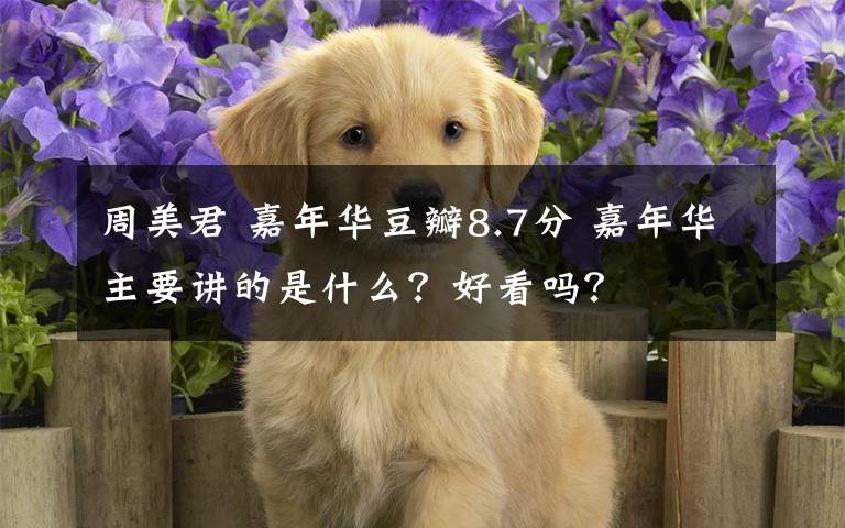 周美君 嘉年華豆瓣8.7分 嘉年華主要講的是什么？好看嗎？