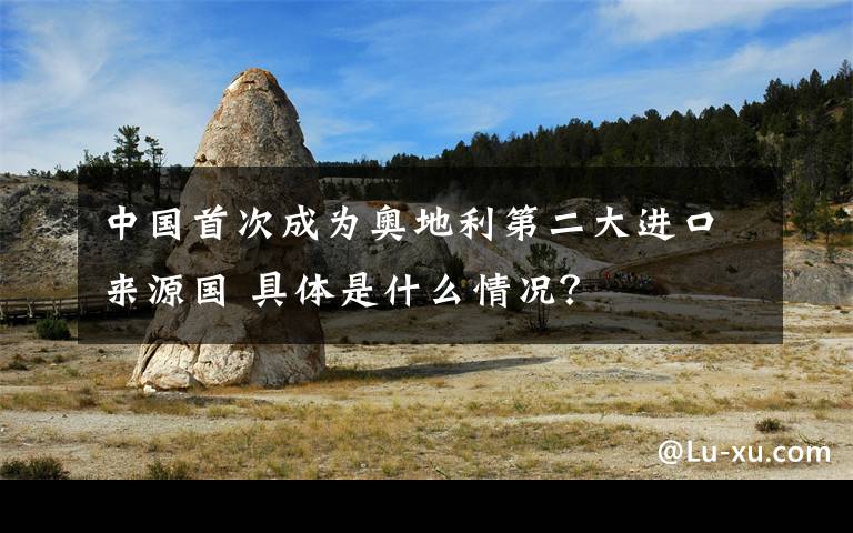 中國首次成為奧地利第二大進口來源國 具體是什么情況？