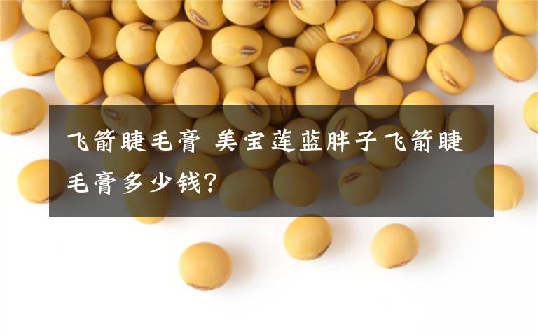 飛箭睫毛膏 美寶蓮藍(lán)胖子飛箭睫毛膏多少錢？