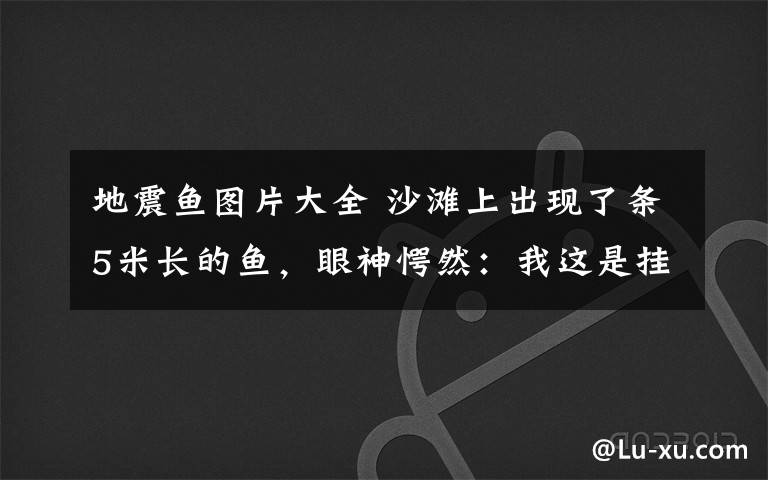 地震魚(yú)圖片大全 沙灘上出現(xiàn)了條5米長(zhǎng)的魚(yú)，眼神愕然：我這是掛了嗎