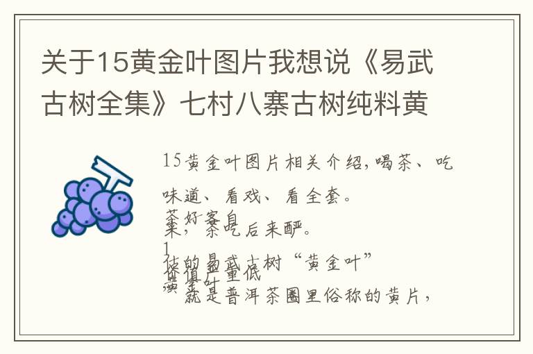 關(guān)于15黃金葉圖片我想說《易武古樹全集》七村八寨古樹純料黃金葉大全（7.5斤/套）