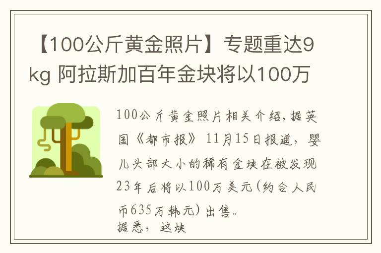 【100公斤黃金照片】專題重達(dá)9kg 阿拉斯加百年金塊將以100萬美元價(jià)格拍賣