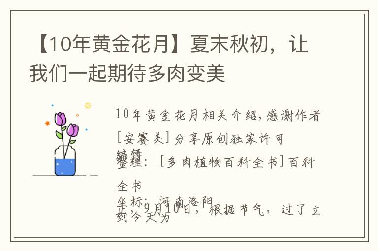 【10年黃金花月】夏末秋初，讓我們一起期待多肉變美