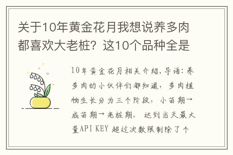 關(guān)于10年黃金花月我想說養(yǎng)多肉都喜歡大老樁？這10個品種全是“大粗腿”，越養(yǎng)越好看！