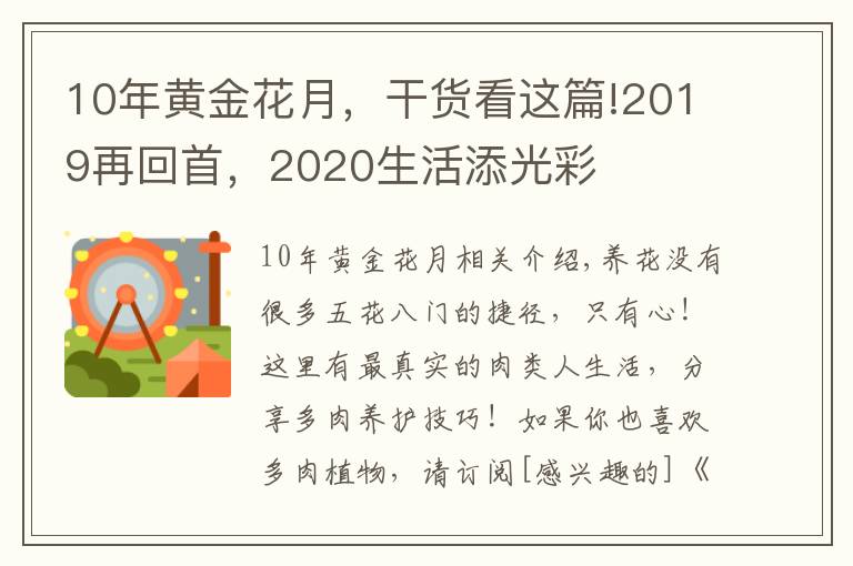 10年黃金花月，干貨看這篇!2019再回首，2020生活添光彩