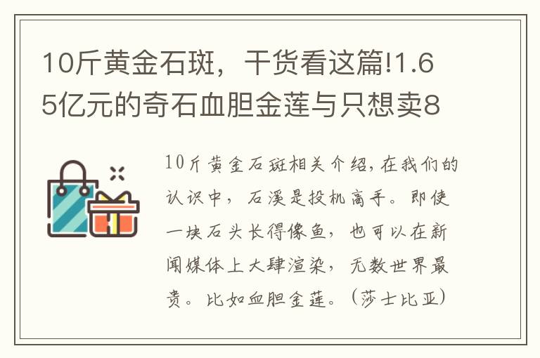 10斤黃金石斑，干貨看這篇!1.65億元的奇石血膽金蓮與只想賣8888的石斑魚