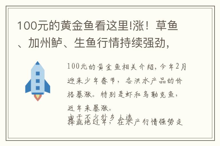 100元的黃金魚看這里!漲！草魚、加州鱸、生魚行情持續(xù)強勁，黃金魚最高也漲2元/斤