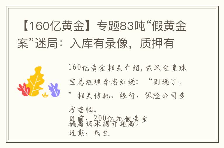 【160億黃金】專題83噸“假黃金案”迷局：入庫有錄像，質(zhì)押有檢測，誰在造假？