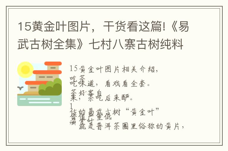 15黃金葉圖片，干貨看這篇!《易武古樹全集》七村八寨古樹純料黃金葉大全（7.5斤/套）