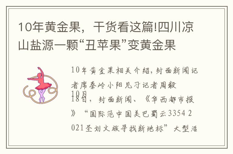 10年黃金果，干貨看這篇!四川涼山鹽源一顆“丑蘋果”變黃金果 年產(chǎn)值30億元搶占國內(nèi)國際大市場