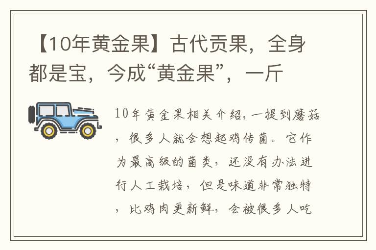 【10年黃金果】古代貢果，全身都是寶，今成“黃金果”，一斤10元，農(nóng)民年入6萬