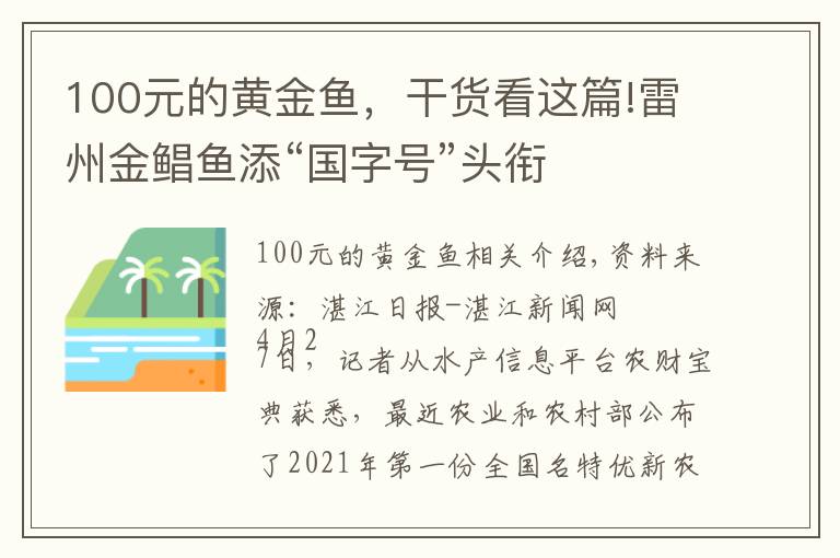 100元的黃金魚(yú)，干貨看這篇!雷州金鯧魚(yú)添“國(guó)字號(hào)”頭銜