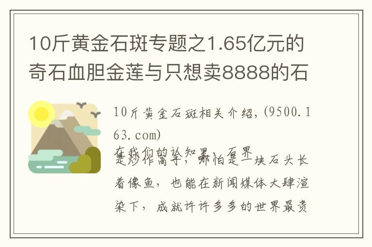 10斤黃金石斑專題之1.65億元的奇石血膽金蓮與只想賣8888的石斑魚(yú)