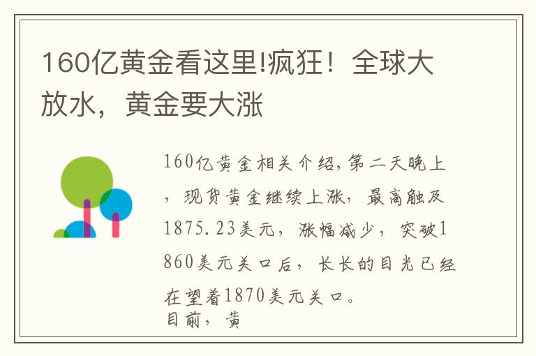 160億黃金看這里!瘋狂！全球大放水，黃金要大漲