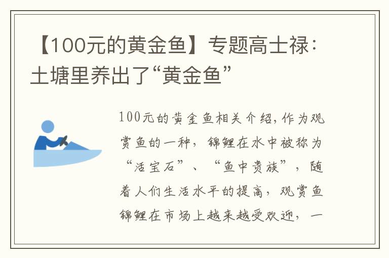 【100元的黃金魚】專題高士祿：土塘里養(yǎng)出了“黃金魚”