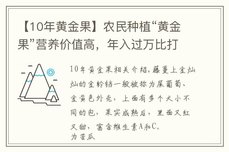 【10年黃金果】農(nóng)民種植“黃金果”營養(yǎng)價值高，年入過萬比打工強！