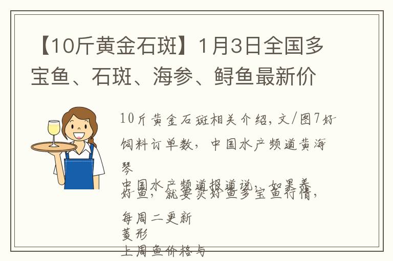 【10斤黃金石斑】1月3日全國(guó)多寶魚(yú)、石斑、海參、鱘魚(yú)最新價(jià)格