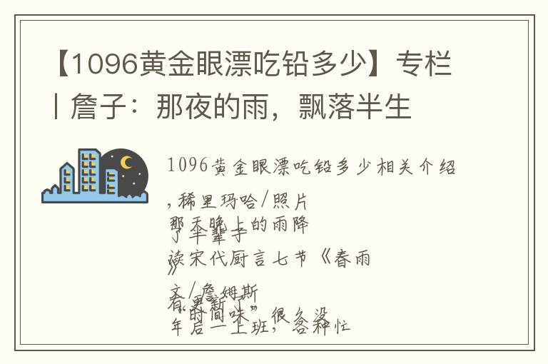 【1096黃金眼漂吃鉛多少】專欄丨詹子：那夜的雨，飄落半生