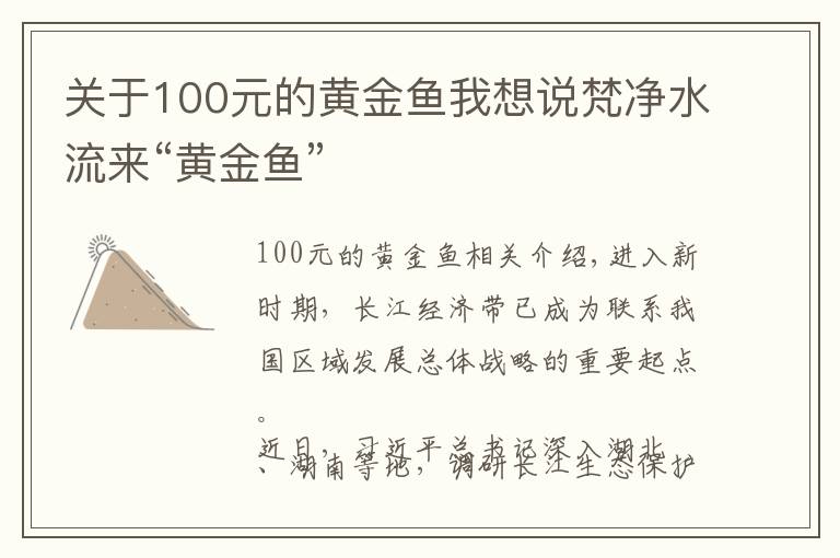 關于100元的黃金魚我想說梵凈水流來“黃金魚”