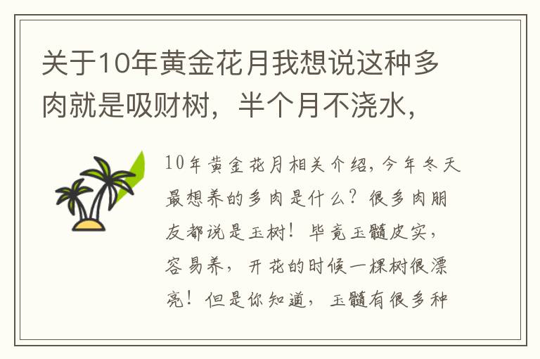 關(guān)于10年黃金花月我想說這種多肉就是吸財樹，半個月不澆水，照樣長得手腕粗！