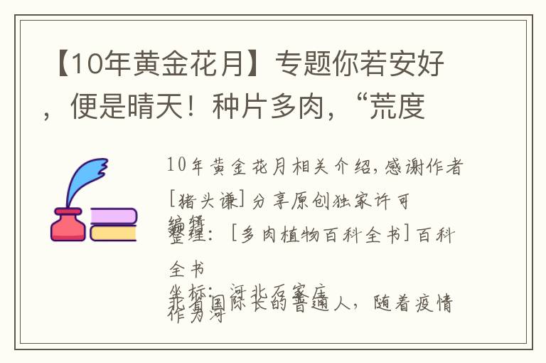 【10年黃金花月】專題你若安好，便是晴天！種片多肉，“荒度”余生