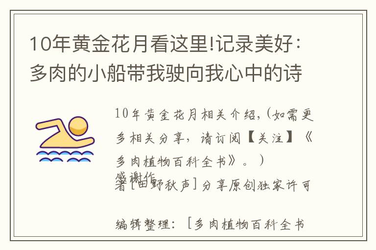 10年黃金花月看這里!記錄美好：多肉的小船帶我駛向我心中的詩和遠方