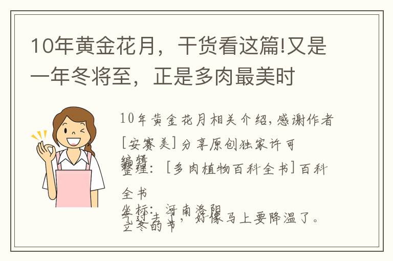 10年黃金花月，干貨看這篇!又是一年冬將至，正是多肉最美時(shí)