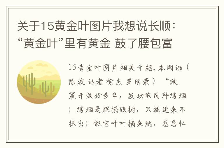 關(guān)于15黃金葉圖片我想說長順：“黃金葉”里有黃金 鼓了腰包富了民