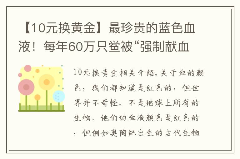 【10元換黃金】最珍貴的藍(lán)色血液！每年60萬只鱟被“強(qiáng)制獻(xiàn)血”，1升能賣10萬