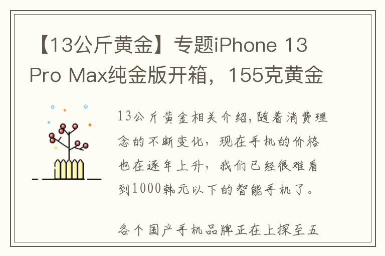 【13公斤黃金】專題iPhone 13 Pro Max純金版開箱，155克黃金奢華閃耀，價格感人