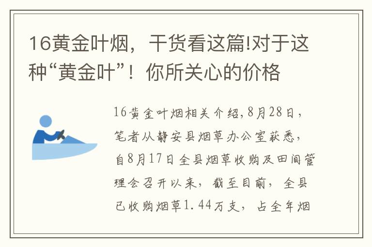 16黃金葉煙，干貨看這篇!對(duì)于這種“黃金葉”！你所關(guān)心的價(jià)格在這里……