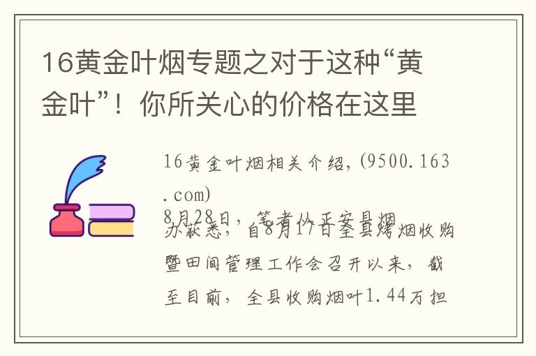 16黃金葉煙專題之對于這種“黃金葉”！你所關心的價格在這里……