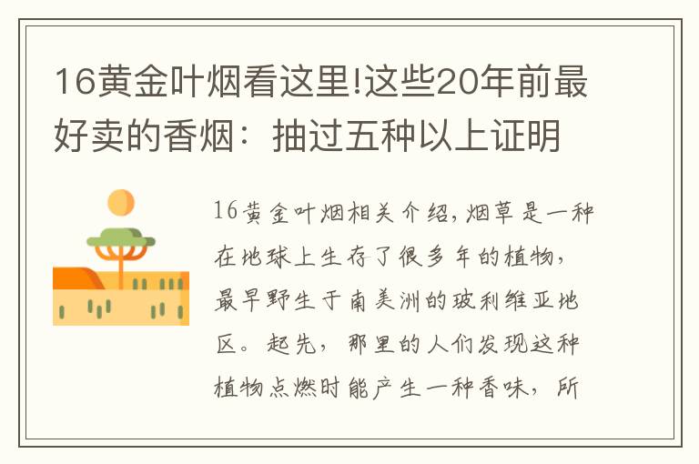 16黃金葉煙看這里!這些20年前最好賣的香煙：抽過五種以上證明你不在年輕了！