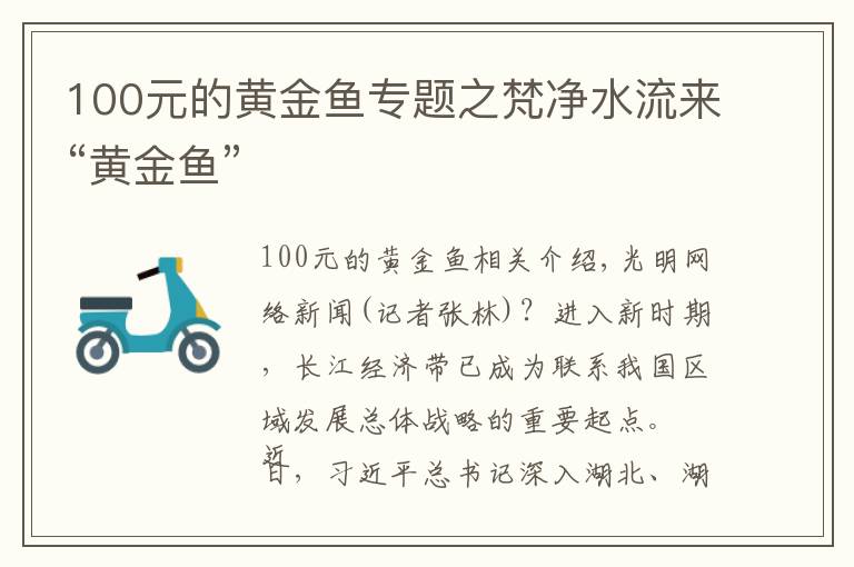 100元的黃金魚專題之梵凈水流來“黃金魚”