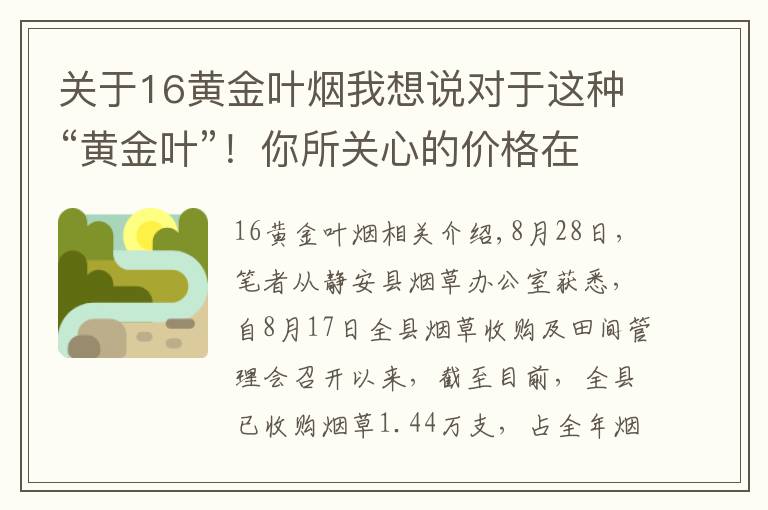 關(guān)于16黃金葉煙我想說對(duì)于這種“黃金葉”！你所關(guān)心的價(jià)格在這里……