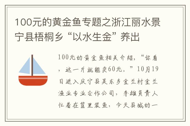 100元的黃金魚專題之浙江麗水景寧縣梧桐鄉(xiāng) “以水生金” 養(yǎng)出“黃金魚”